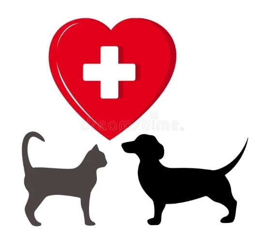 Kedi, Köpek Vitaminler - Ek Besinler